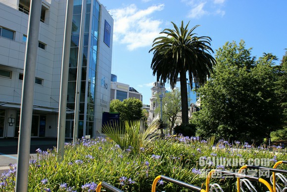 ������ά�����ǻ���ٴ�ѧ��ѧԺ����