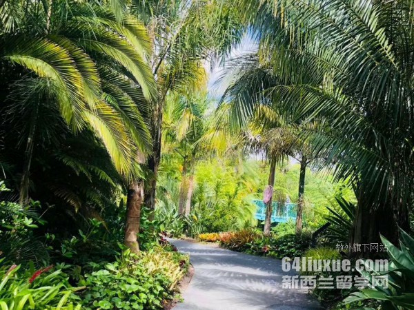 新西兰奥拉克技术学院地址在哪