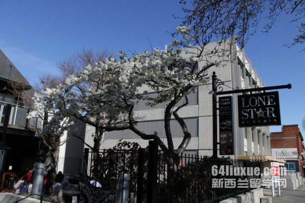 艾普森女子文法中学 Epsom Girls‘ Grammer School
