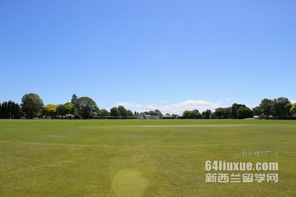 新西兰梅西大学教育学专业