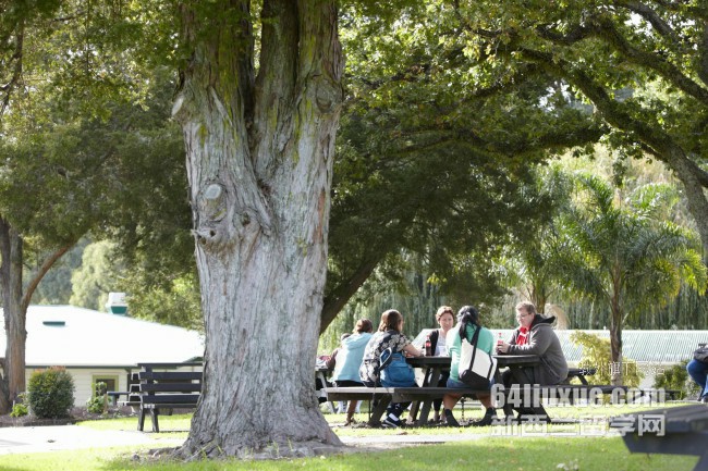 �������ѧ����רҵ����