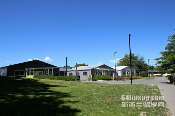 新西兰哪个大学的会计系好