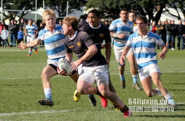 ��ר�������������д�ѧ