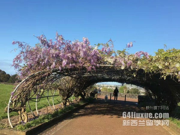 奥克兰大学几月开学