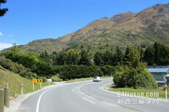 去新西兰留学中学升学率