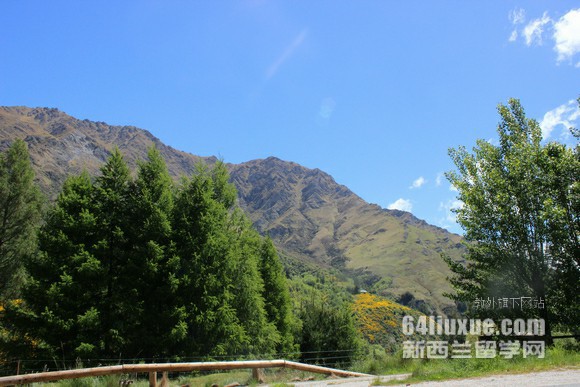 新西兰开设艺术设计专业的大学