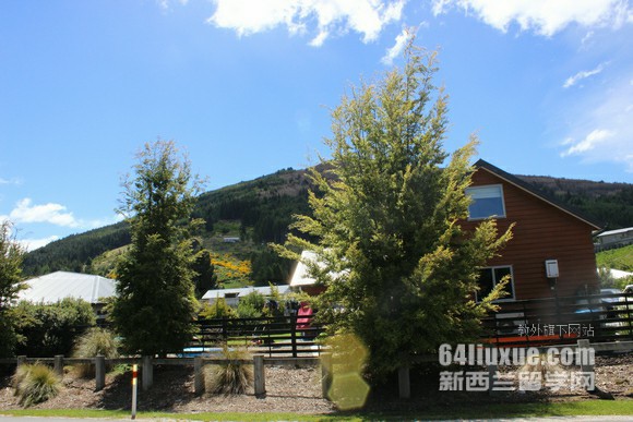 奥克兰大学与aut哪个好
