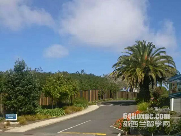 �����������д�ѧ����