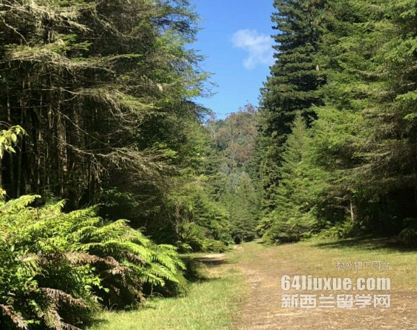 在维多利亚大学就读