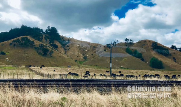 ���ز��״�ѧ��ݿγ�