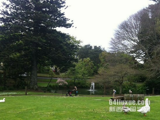 2016新西兰大学商学院排名