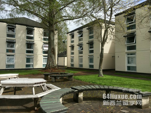 大专生留学新西兰读pgd