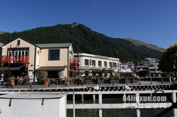 �¿�����ѧԤ�ƿγ�acg