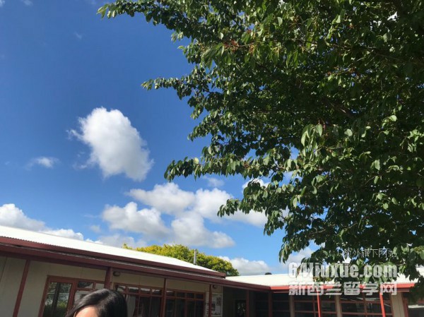 新西兰本科预科招生