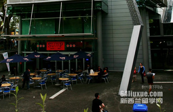 梅西大学研究生专业课程
