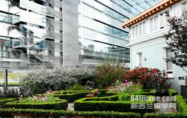 梅西大学2月入学