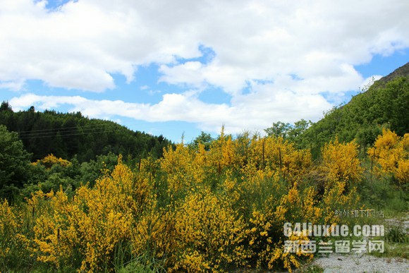 ��������ѧԺ�ò���