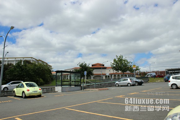 新西兰梅西大学本科和硕士哪个学费低