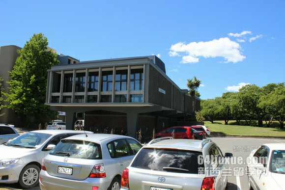 新西兰小学插班