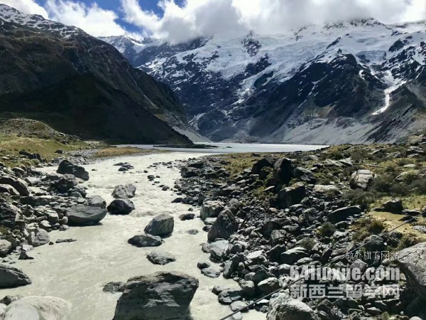 梅西大学惠灵顿校区专业