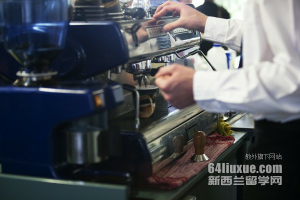 奥克兰大学预科读什么
