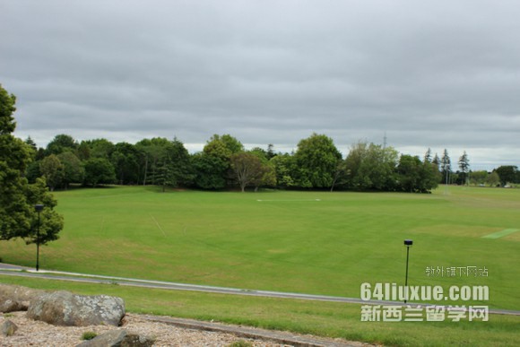 坎特伯雷大学软件工程专业