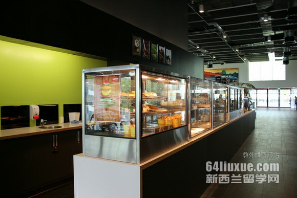 梅西大学商科怎么样