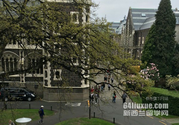 奥克兰大学有教育学吗