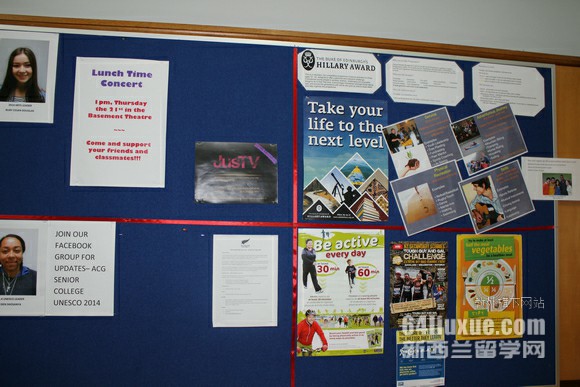 ����������ѧԺ������רҵ��ʲô