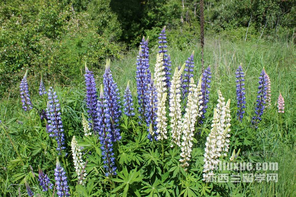 ��������Ŭ������ѧԺ��ô��