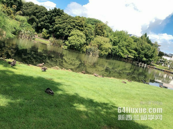 奥克兰大学商学专业