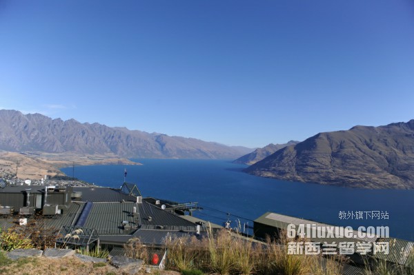 ����������������רҵ����