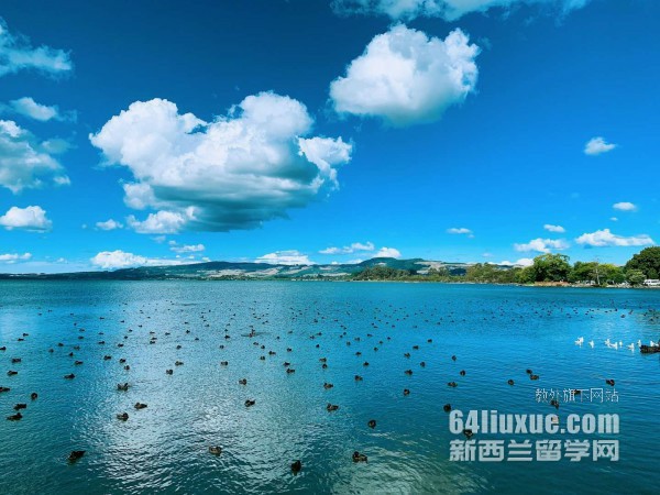 奥塔哥大学商科学费
