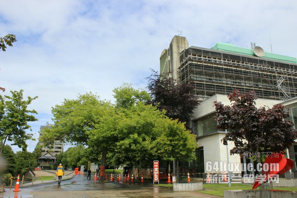怀卡托大学电子商务专业就业方向