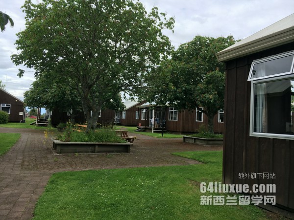 怀卡托大学电子商务专业就业方向