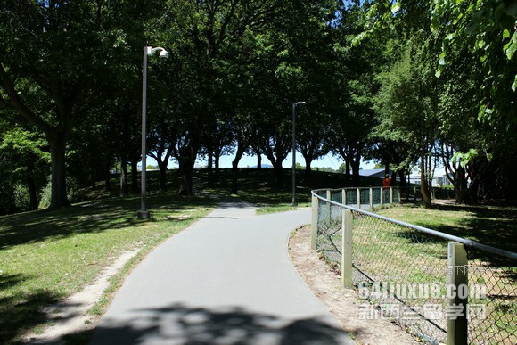 梅西大学校区