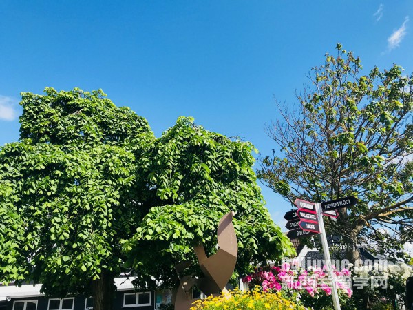 怀卡托大学自己申请