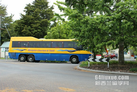 怀卡托理工学院硕士学位