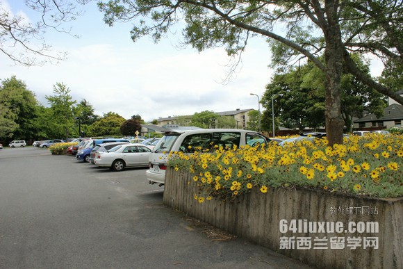 怀卡托大学11月开学