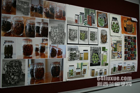新西兰公立理工学院