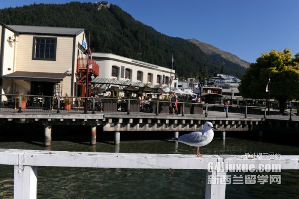 �Ϸ�����ѧԺ��ô��