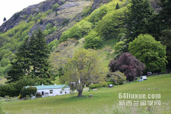 怀卡托大学入学时间