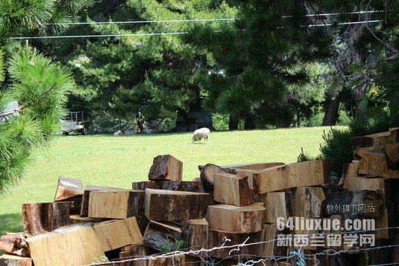 新西兰惠灵顿维多利亚大学建筑专业