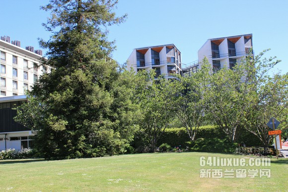 新西兰奥克兰大学数学专业入学要求