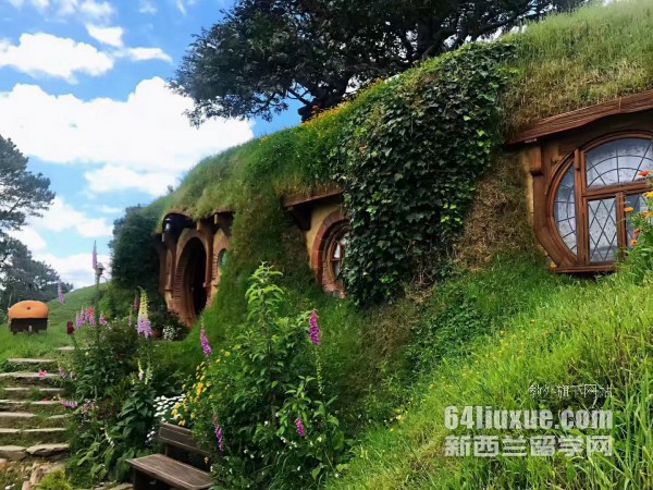 新西兰奥克兰大学地产专业