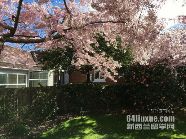 奥塔哥大学语言中心怎么申请