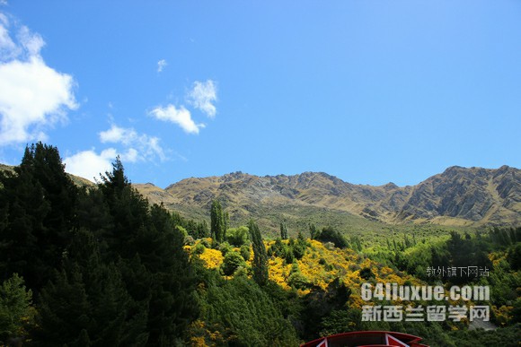 �������ѧ��ҽרҵ