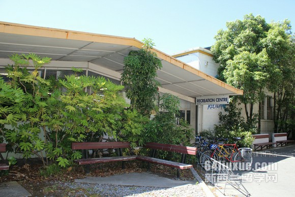 新西兰护理本科专业学费