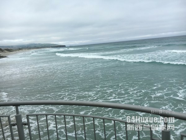 新西兰高中上几年