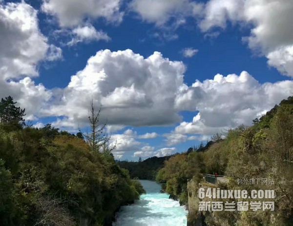 新西兰圣心男子高中好不好